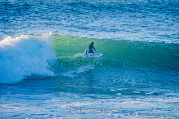 Avalon_210324_073602_0091