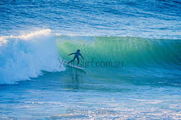 Avalon_210324_073604_0096