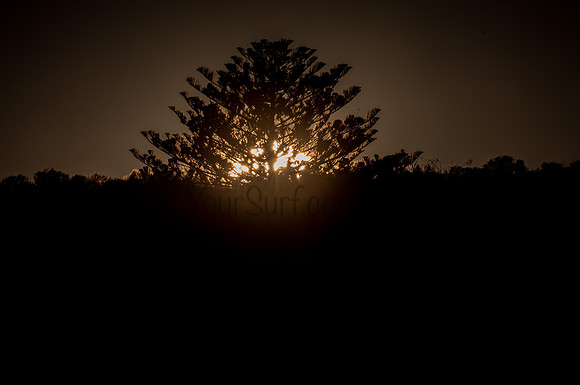 Avalon_210324_074004_0113