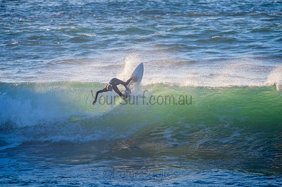 Avalon_210324_074630_0151