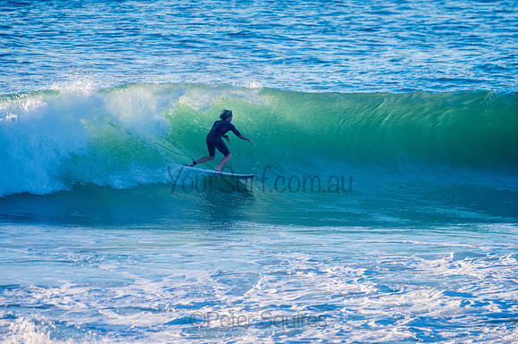 Avalon_210324_074825_0160