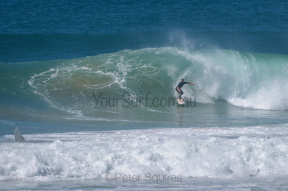 Sth_Avalon_210324_121354_0068