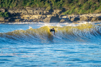 Whale Beach_210326_073943_0019