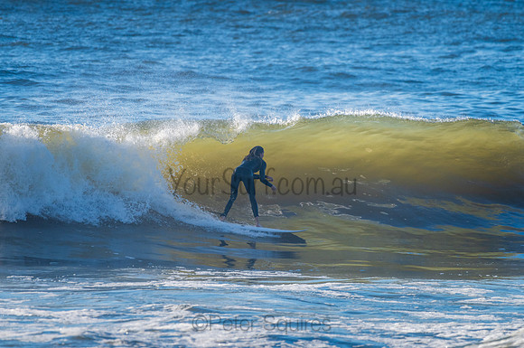Whale Beach_210326_082946_0068