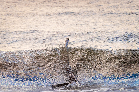 Barrenjoey_210327_074544_0007
