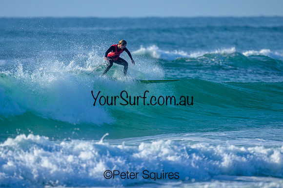 Archy Bemrose - NSW_230805_0812F
