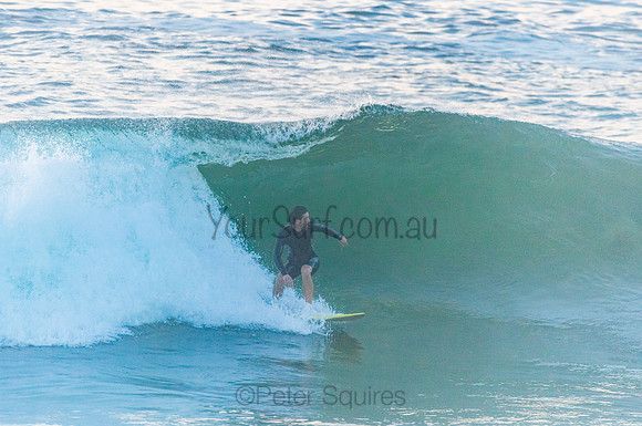 Avalon_210408_072929_0019