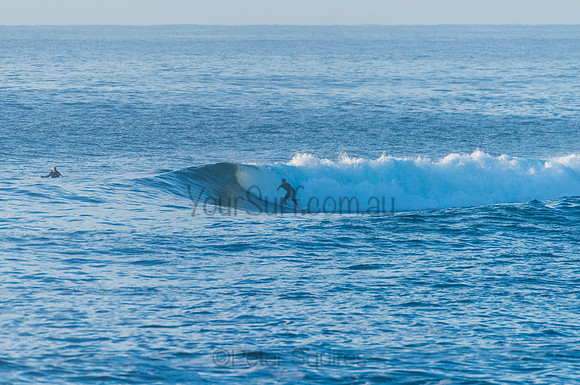 Avalon_210408_074149_0055
