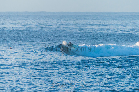 Avalon_210408_074150_0056