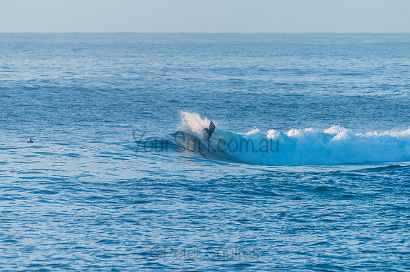Avalon_210408_074150_0057