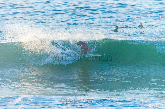 Avalon_210408_075101_0099