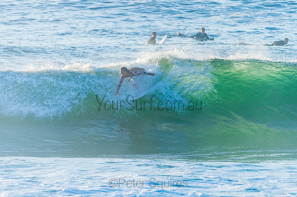 Avalon_210408_075102_0101