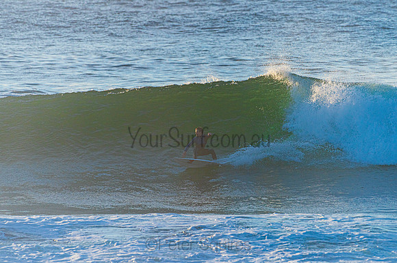 Avalon_210408_075522_0145