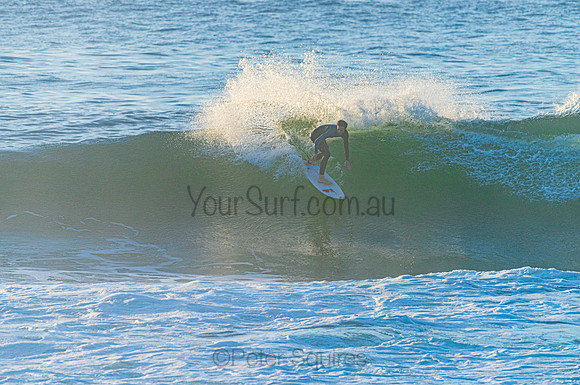 Avalon_210408_075523_0149