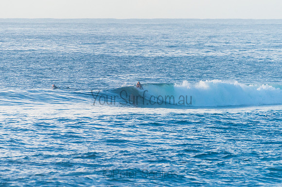 Avalon_210408_080213_0171