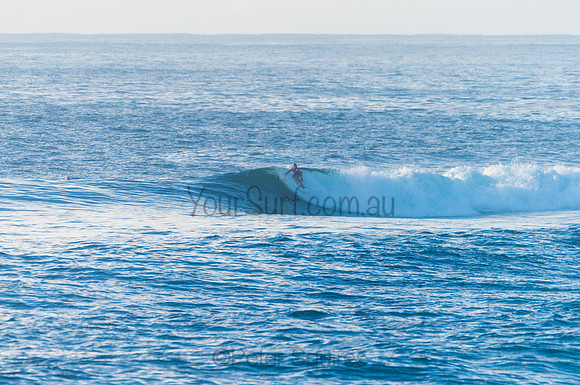 Avalon_210408_080214_0172