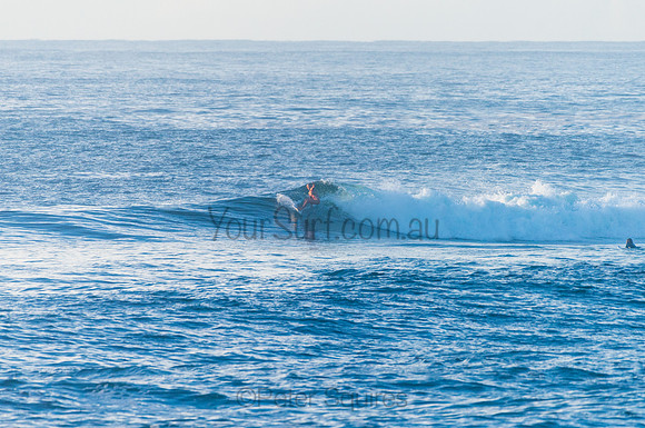 Avalon_210408_080215_0174