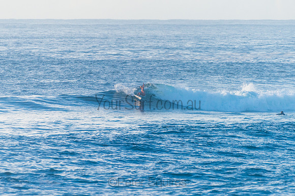 Avalon_210408_080216_0175