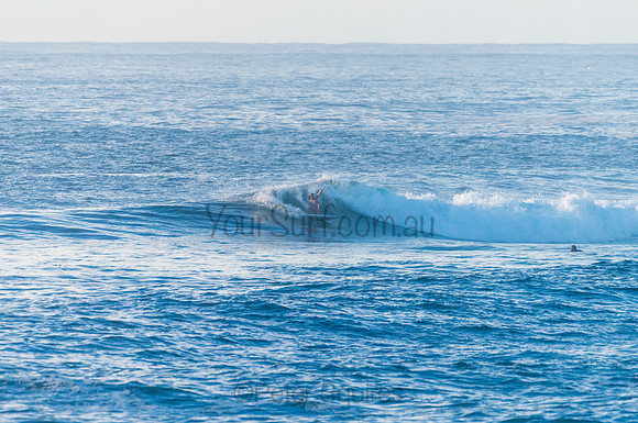 Avalon_210408_080216_0177