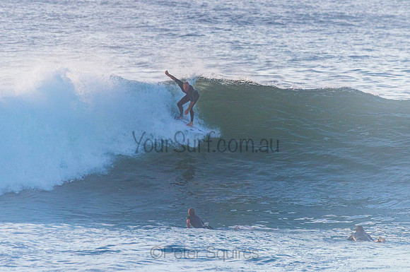 Avalon_210408_080250_0186