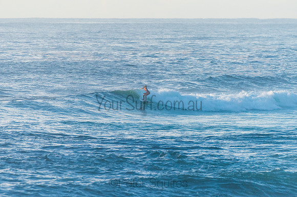 Avalon_210408_080300_0196