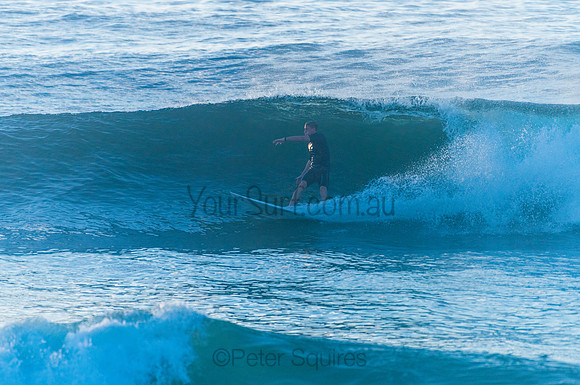Avalon_210408_080515_0211
