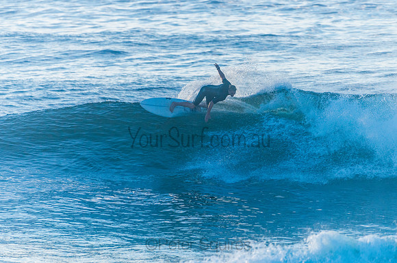 Avalon_210408_080516_0213