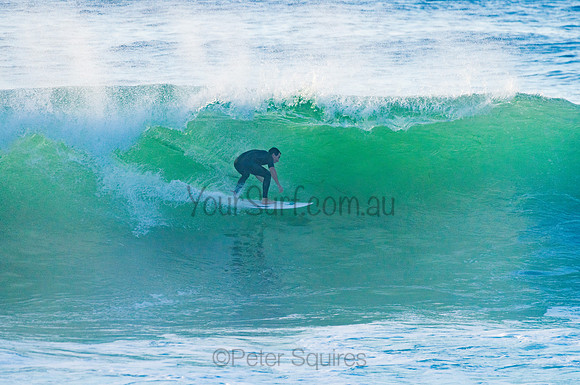 Avalon_210408_080639_0227
