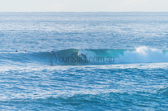 Avalon_210408_080827_0238