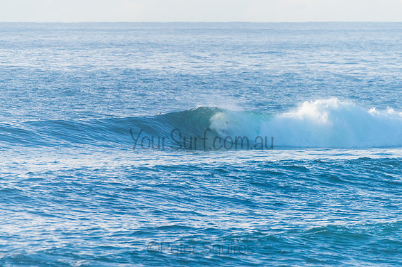 Avalon_210408_080828_0240