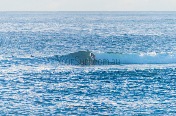 Avalon_210408_080839_0244
