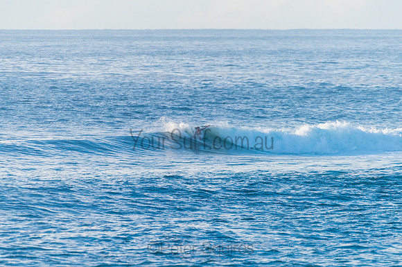 Avalon_210408_080841_0245