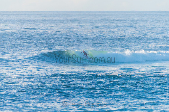 Avalon_210408_080859_0249