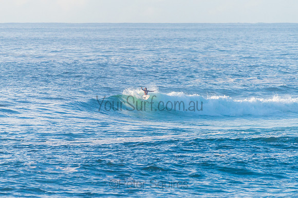 Avalon_210408_080901_0251