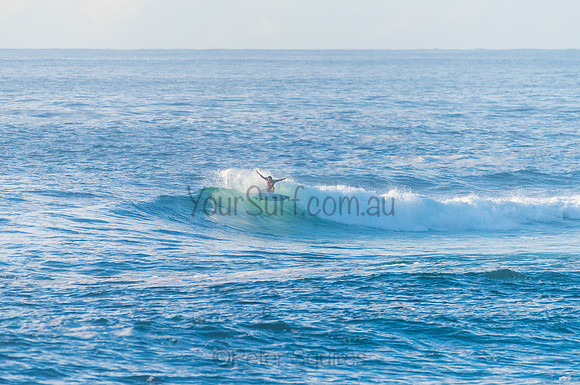 Avalon_210408_080901_0252