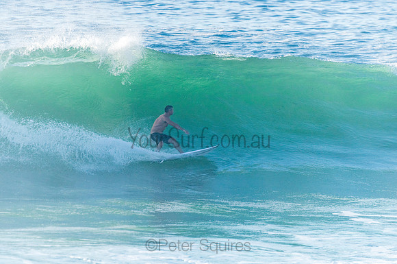 Avalon_210408_080959_0258