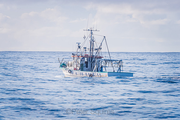 Newport_210408_085424_0056