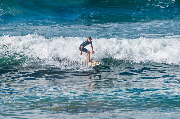 Mona_Vale_210408_104808_0030