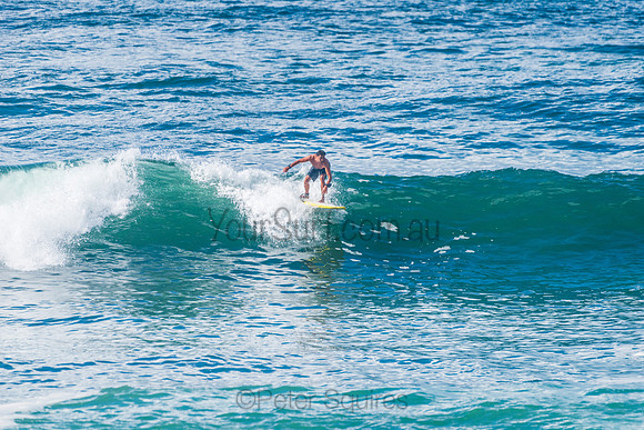 Mona_Vale_210408_105813_0044