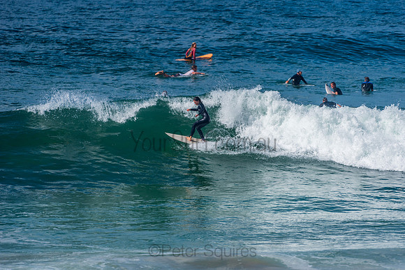 Mona_Vale_210408_110358_0062
