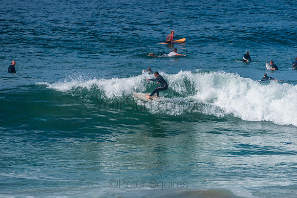 Mona_Vale_210408_110358_0063