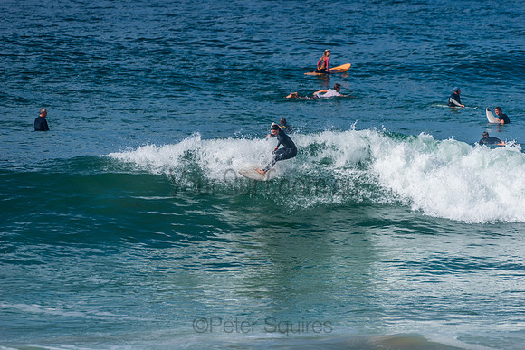 Mona_Vale_210408_110358_0064