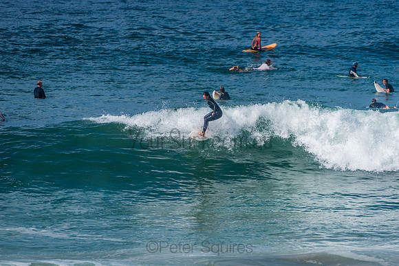 Mona_Vale_210408_110359_0065