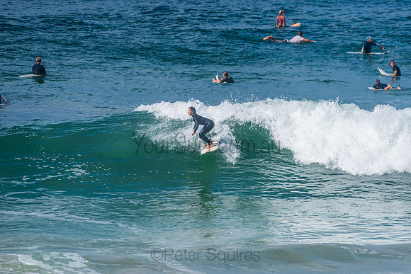 Mona_Vale_210408_110359_0066