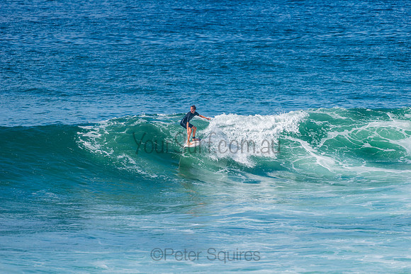 Mona_Vale_210408_110419_0069
