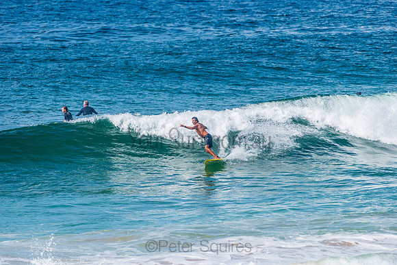 Mona_Vale_210408_110948_0083