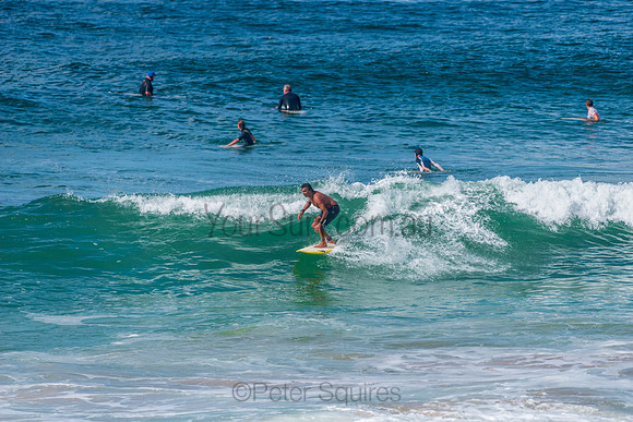 Mona_Vale_210408_110951_0084