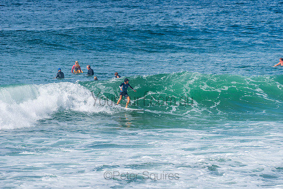 Mona_Vale_210408_111334_0101
