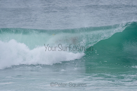 Mona_Vale_210409_105515_0108