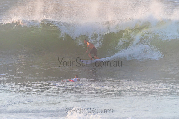 Avalon_210408_080114_0161